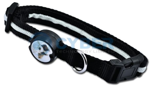 Dog Pet Blue LED Light Flashing Nylon Safety Adjustable Collar Tag