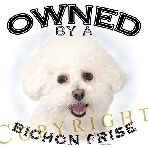 Bichon Frise Owned Apron  