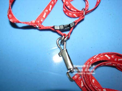 New Dog Collar Leash Strap drawing rope 1cm Free Ship  