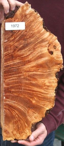 XF MAPLE BURL 19 x 8 x 2 ~ EXOTIC WOOD LUMBER 1972  