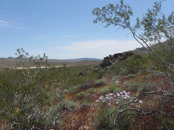 View to the East from the Mine.