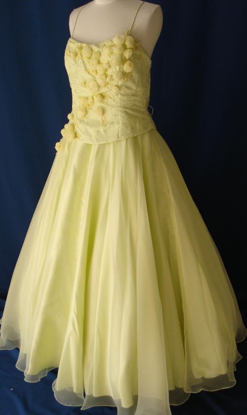 Gorgeous Cinderella Ball Gown Dress Party Gala Evening Pageant Brand 