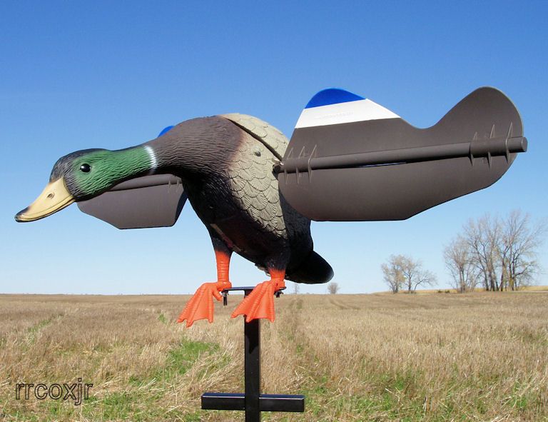 EDGE SUPER LUCKY DUCK MALLARD MOTION DECOY W/TIMER NEW 605093490075 