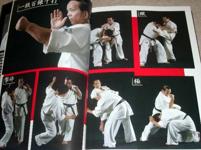 Karate 007 Kyokushin Mas Oyama Kazuyuki Hasegawa Book m  