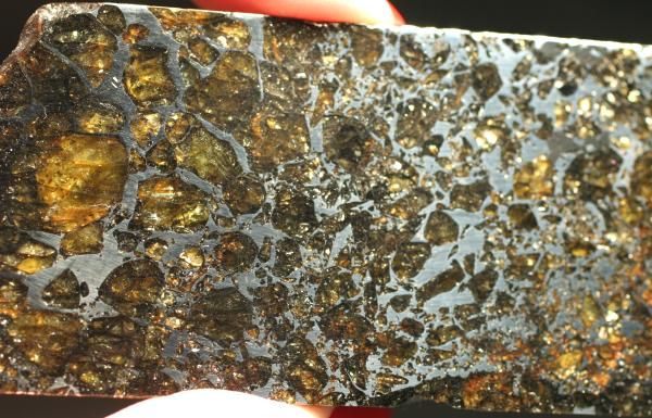 RICH PALLASITE & MESOSIDERITE METEORITE SEYMCHAN 51g  