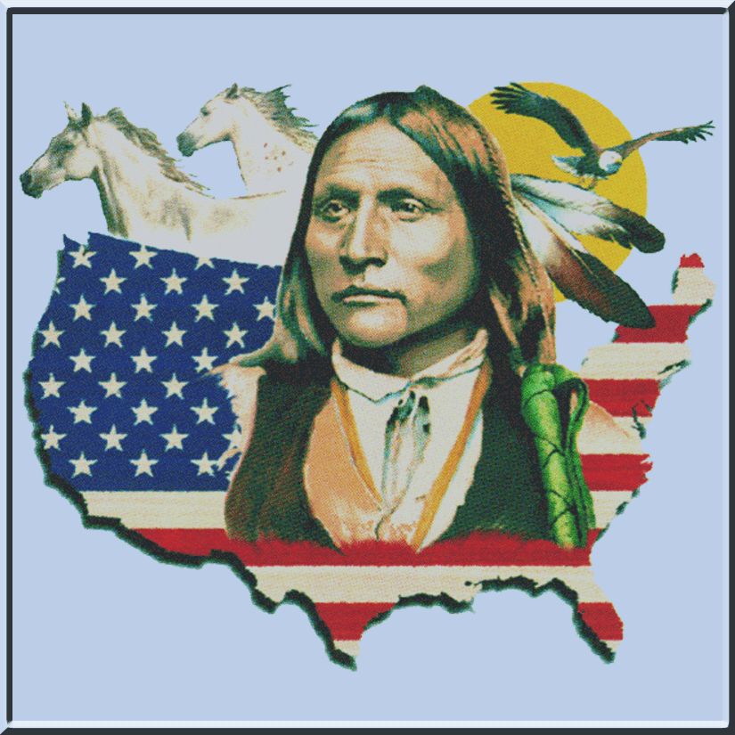 Native American Flag Map Comanche Shirts S 2X,3X,4X,5X  