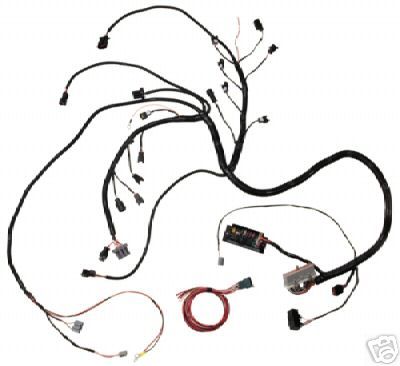 FORD RACING MULTIPORT EFI WIRE HARNESS M 12071 A50  