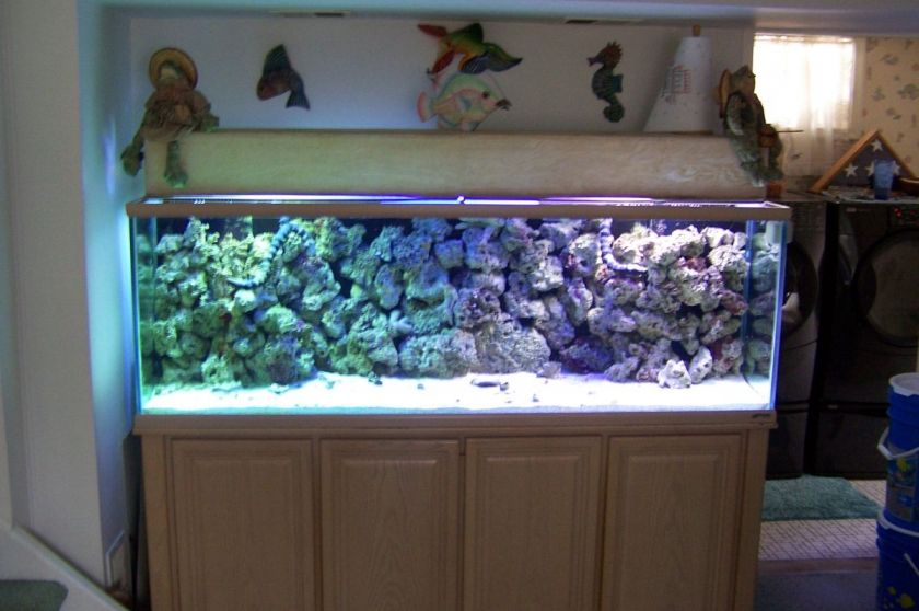 OCEANIC 180 Gallon Reef Tank Complete  