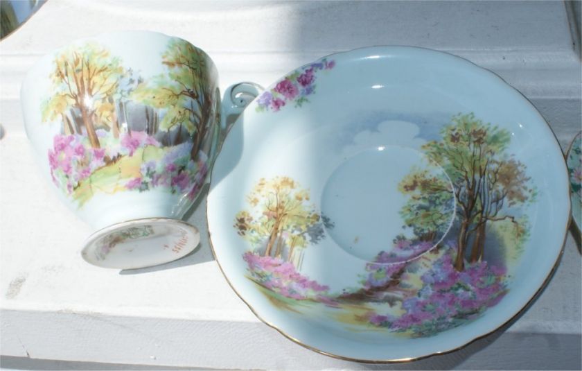 VINTAGE PORCELAIN SHELLEY CUP & SAUCER ENGLANDS CHARM  