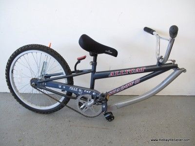 Alley cat shadow hot sale 2 trailer bike