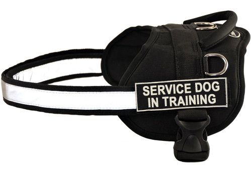 Dog Harness w/ Velcro Patches SERVICE DOG IN TRAINING  