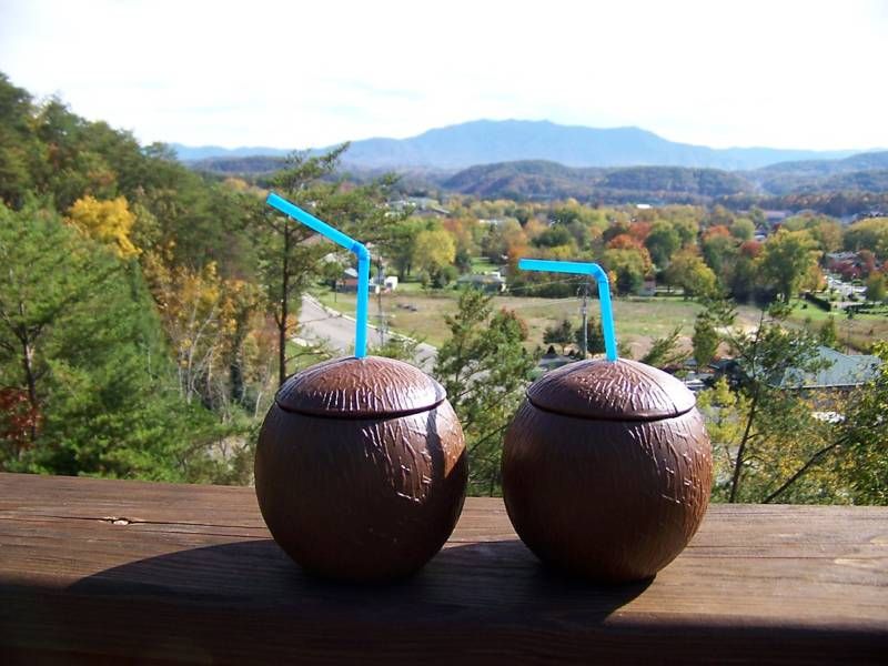 COCONUT DRINKING CUPS O LO HA  NO MORE BUGS IN CUP   