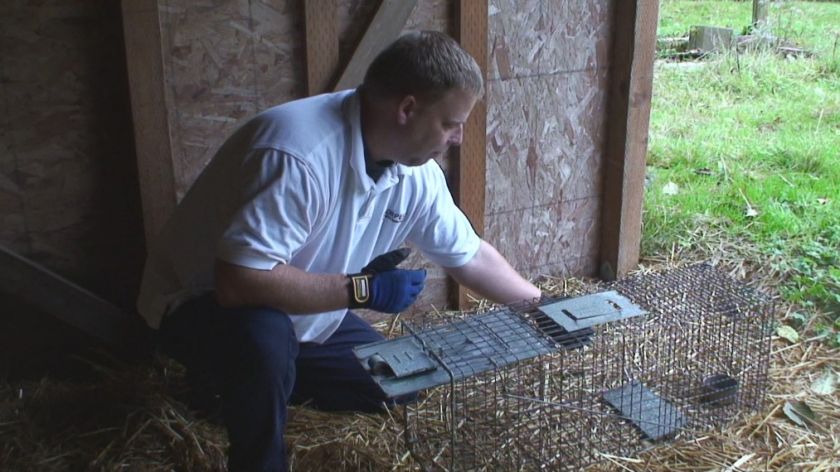 DVD Control Nuisance Animals Wildlife Removal Live Trap  