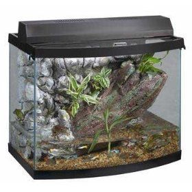 Waters Edge Bio Habitat small reptile or amphibians  