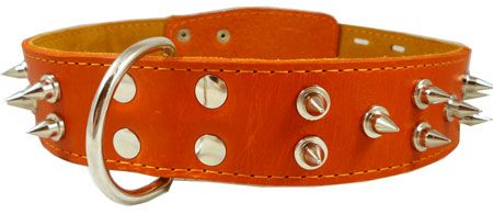 23 28Leather Dog Collar Spiked Orange Pitbull 1.75  